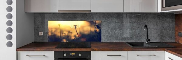Dekorační panel sklo Pampeliška pksh-89791737