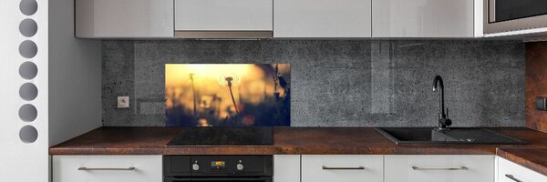 Dekorační panel sklo Pampeliška pksh-89791737