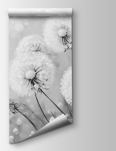 Fototapeta Skupina pampelišek v černé a bílé barvě, Přírodní fototapety, Populární fototapety, w08594v1 - Tapeko.co.cz