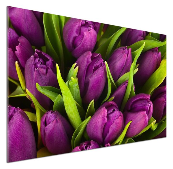 Panel do kuchyně Fialové tulipány pksh-89975331