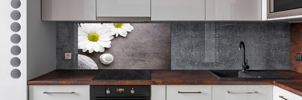 Skleněný panel do kuchyně Gerbera pksh-89978317
