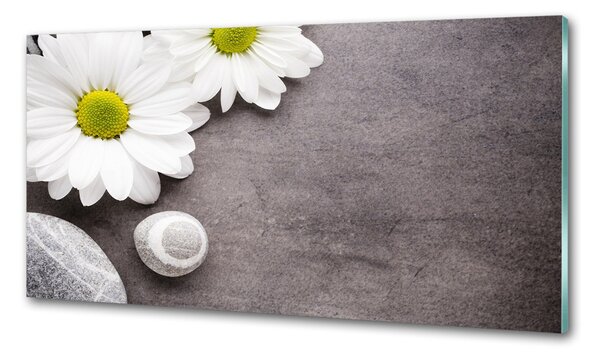 Skleněný panel do kuchyně Gerbera pksh-89978317