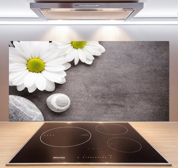 Skleněný panel do kuchyně Gerbera pksh-89978317