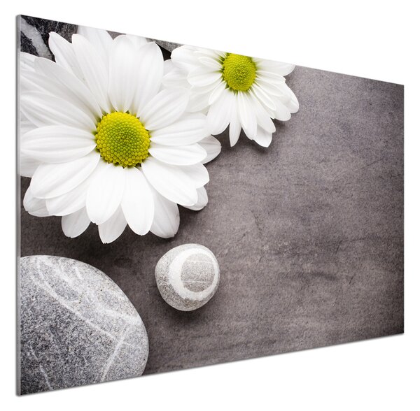 Skleněný panel do kuchyně Gerbera pksh-89978317