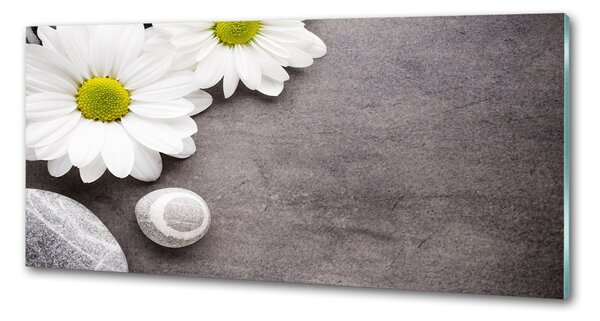 Skleněný panel do kuchyně Gerbera pksh-89978317