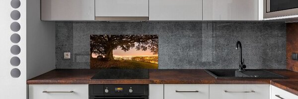 Dekorační panel sklo Starý strom pksh-90219521