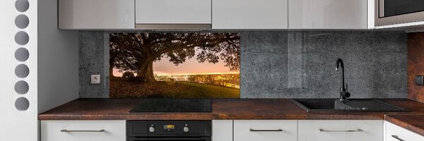 Dekorační panel sklo Starý strom pksh-90219521