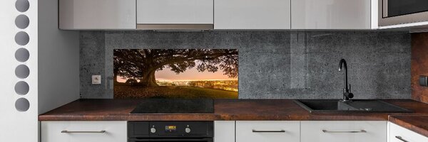 Dekorační panel sklo Starý strom pksh-90219521
