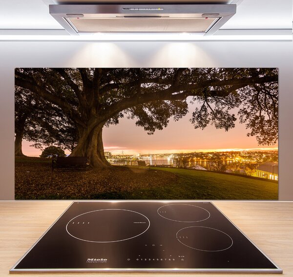 Dekorační panel sklo Starý strom pksh-90219521