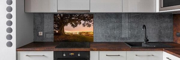 Dekorační panel sklo Starý strom pksh-90219521