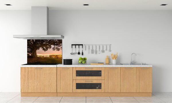 Dekorační panel sklo Starý strom pksh-90219521
