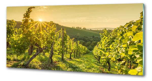 Skleněný panel do kuchyně Vinice pksh-90317015