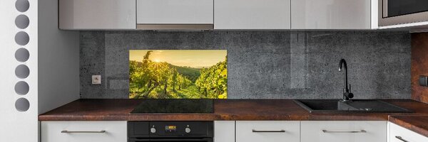 Skleněný panel do kuchyně Vinice pksh-90317015