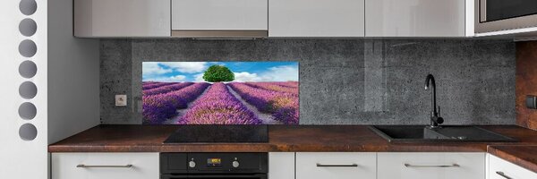 Dekorační panel sklo Pole levandule pksh-90850867