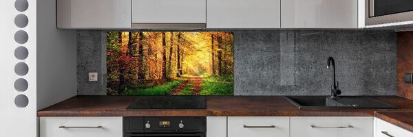 Dekorační panel sklo Podzimní les pksh-91078750