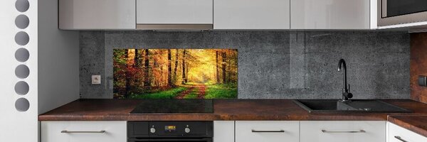 Dekorační panel sklo Podzimní les pksh-91078750