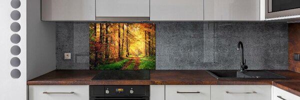 Dekorační panel sklo Podzimní les pksh-91078750