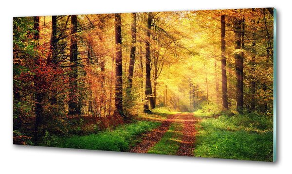 Dekorační panel sklo Podzimní les pksh-91078750