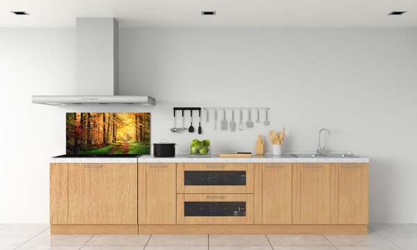 Dekorační panel sklo Podzimní les pksh-91078750