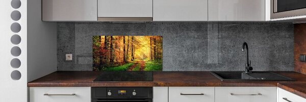 Dekorační panel sklo Podzimní les pksh-91078750