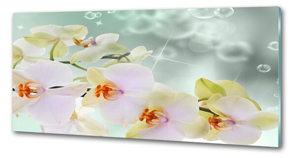 Panel do kuchyně Bílá orchidej pksh-91133337
