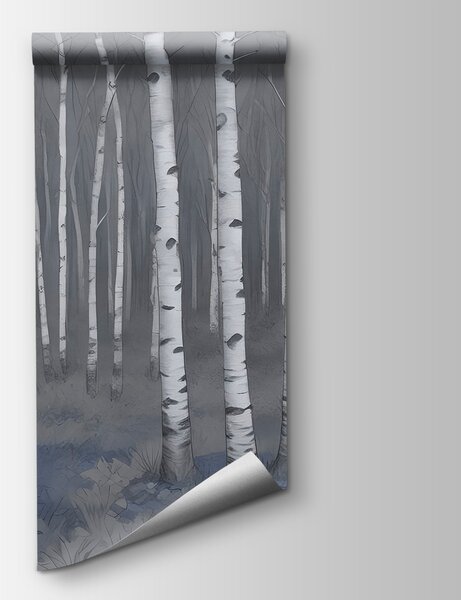 Fototapeta Skupina stromů v lese, Fototapety s břízami, Populární fototapety, w02845v2 - Tapeko.co.cz