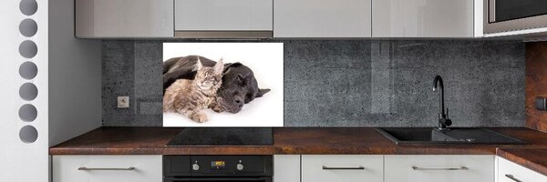 Dekorační panel sklo Pes s kočkou pksh-91792125