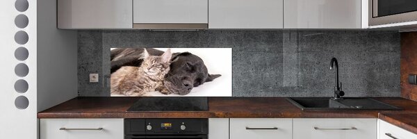 Dekorační panel sklo Pes s kočkou pksh-91792125