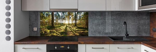 Dekorační panel sklo Sosnový les pksh-92027264