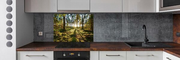 Dekorační panel sklo Sosnový les pksh-92027264