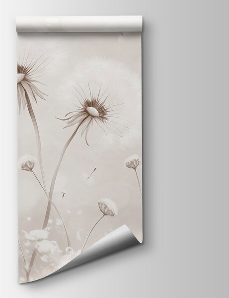 Fototapeta Křehké pampeliškové sny v květu, Květinové fototapety, Populární fototapety, w08657v1 - Tapeko.co.cz