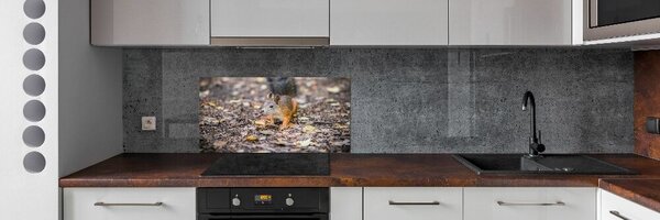 Skleněný panel do kuchynské linky Veverka pksh-92289663