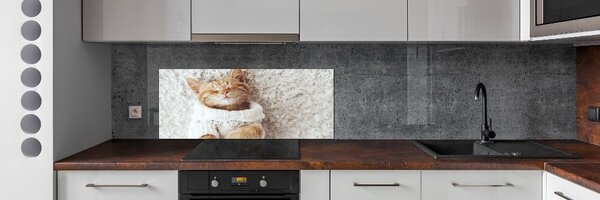 Panel do kuchyně Kočka ve svetru pksh-92307728