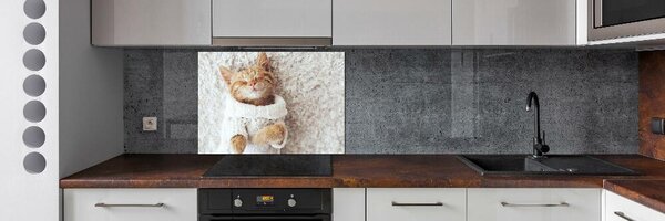 Panel do kuchyně Kočka ve svetru pksh-92307728