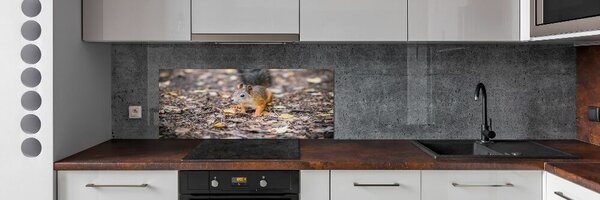 Skleněný panel do kuchynské linky Veverka pksh-92289663