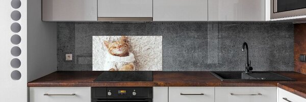 Panel do kuchyně Kočka ve svetru pksh-92307728