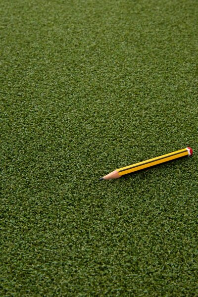 Umělá tráva Lano Easy Lawn Green 510