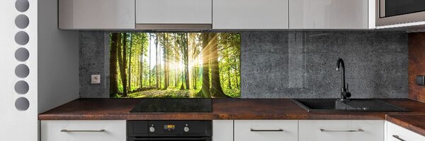 Dekorační panel sklo Les slunce pksh-92474685