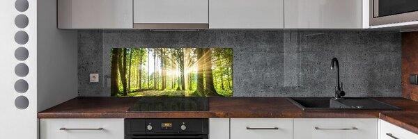 Dekorační panel sklo Les slunce pksh-92474685