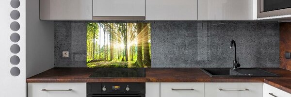 Dekorační panel sklo Les slunce pksh-92474685