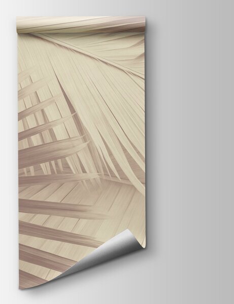 Fototapeta Textura přírody v jemných tónech, Fototapety s palmovými listy, Populární fototapety, w08677 - Tapeko.co.cz