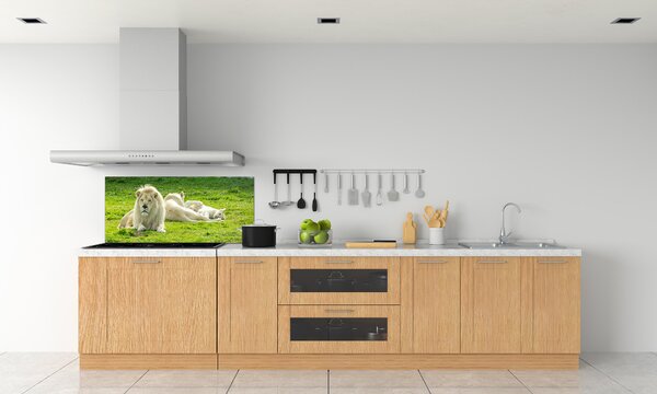 Dekorační panel sklo Béžové lvy pksh-93716692
