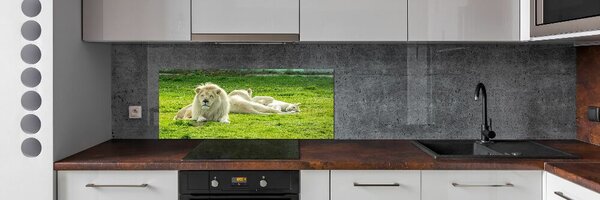 Dekorační panel sklo Béžové lvy pksh-93716692