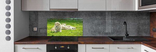 Dekorační panel sklo Béžové lvy pksh-93716692