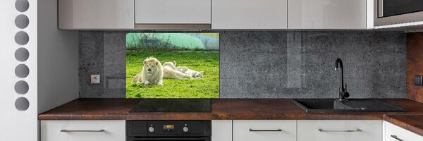 Dekorační panel sklo Béžové lvy pksh-93716692