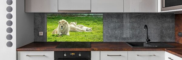 Dekorační panel sklo Béžové lvy pksh-93716692