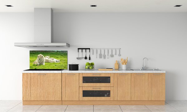 Dekorační panel sklo Béžové lvy pksh-93716692