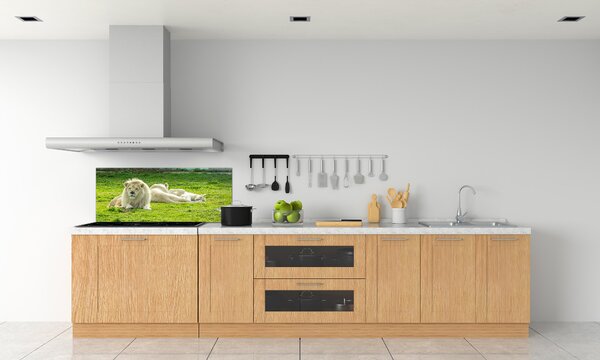 Dekorační panel sklo Béžové lvy pksh-93716692