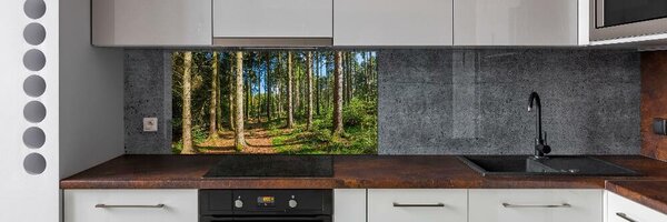 Panel do kuchyně Lesní panorama pksh-93946389
