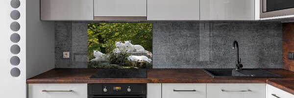 Panel do kuchyně Bílí vlci a skála pksh-93949837